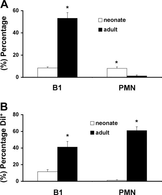 Figure 1. Neonatal mice demonstrate altered peritoneal cell content and function compared with adult mice. Percentages (A) and phagocytic activity (B) (Dil+) of B220+CD11b+ peritoneal B1 cells and GR-1+Ly6ClowCD11bhigh neutrophils (PMN) from neonates versus young adults. Percentage of Dil+ cells refers to percentage of that cell population that registered greater than the baseline MFI (expressed as greater than 1000 MFI). Data shown are representative of 4 separate identical experiments. Bar graphs represent means with error bars representing standard deviations (*P < .05 by Student t test).