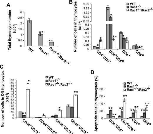 Figure 2. Deletion of Rac1 or Rac1/Rac2 in HSCs affects T-cell development and survival in thymus. (A) Thymic cellularity of Mx-Cre–targeted mice was determined in the indicated genotypes. Single-cell suspensions were prepared from freshly isolated thymus for quantification. (B) The numbers of T-cell subpopulations in thymocytes were determined by anti-CD4, -CD8, -CD44, and -CD25 staining and FACS analysis. (C) The numbers of DN thymocyte subpopulations were determined using additional anti-CD44 and anti-CD25 antibodies and subsequent FACS analysis. (D) The apoptotic cells in thymic T-cell subpopulations were determined by anti-CD4 and -CD8 and annexin V staining followed by flow cytometry. The results are representative of 2 experiments. n = 5 for each genotype. *P < .05; **P < .01. Error bars represent SD.