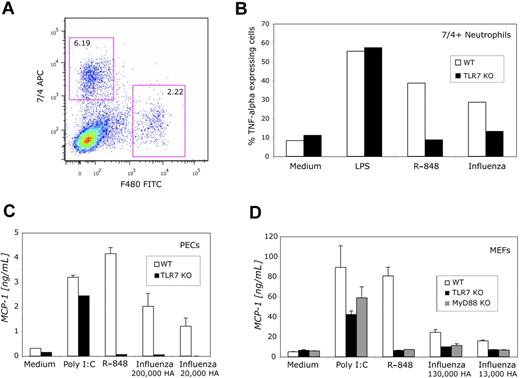 Figure 5. Murine cells make inflammatory cytokines in response to influenza virus in a TLR7-dependent manner. (A) Peripheral blood leukocytes (106 cells) from either wild-type or TLR7 knockout mice were treated with G-CSF (100 U/mL) and GM-CSF (100 U/mL) and then were stained with antibodies specific for 7/4 and F480. (B) Cells were stimulated with LPS (1 μg/mL), R-848 (10 μM), or influenza virus (Hong Kong, 500 000 HA), permeabilized, and stained for TNF. Results shown are for 7/4+/F480− cells. (C) Peritoneal exudates cells (106 cells) were stimulated with poly (I:C) (50 μg/mL), R-848 (3 μM), or the indicated amount of influenza virus (Hong Kong). Supernatants were collected at 24 hours and cytokines measured by ELISA. P ≤ .01 comparing R-848 or influenza in WT versus TLR7 KO or MyD88 KO by the 2-tailed paired t test. Data are means (± SD) of a representative experiment performed in single wells. Two other experiments yielded similar results. (D) Murine embryonic fibroblasts (5 × 104 cells) were stimulated with poly (I:C) (50 μg/mL), R-848 (10 μM), or the indicated amount of influenza virus (Hong Kong), and supernatants were collected at 24 hours and cytokines measured by ELISA. P ≤ .01 comparing R-848 or influenza in WT versus TLR7 KO or MyD88 KO by the 2-tailed paired t test. Data are means (± SD) of a representative experiment performed in single wells. Two other experiments yielded similar results.