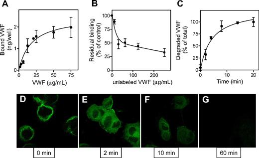 Figure 6. Binding and degradation of VWF by macrophages. THP-1 cells were differentiated into macrophages and incubated for 1 hour at 4°C with either radiolabeled pd-VWF (A-C) or VWF-GFP (D). (A) Binding of various concentrations of 125I-labeled pd-VWF (0-135 μg/mL) was determined as described in “Cell-binding experiments.” (B) Radiolabeled VWF (13.5 μg/mL) was added to THP-1 cells in the presence of unlabeled VWF (0-250 μg/mL). (C) Radiolabeled pd-VWF was added to THP-1 cells for a 1-hour period at 4°C. Cells were then washed, and incubation was continued at 37°C to initiate endocytosis. At indicated time points, samples were taken to determine the amount of degraded material. Degraded material is defined as the radioactivity that is soluble in 10% trichloroacetic acid. In all experiments, controls were included to determine the amount of nonspecific degradation in the absence of cells, which routinely was less than 10% of degradation in the presence of cells. Data represent mean plus or minus SEM of 6 to 9 experiments. (D) THP-1 cells were incubated with VWF-GFP (65 μg/mL) for 1 hour at 4°C. After washing, cells were fixed and analyzed for the presence of bound VWF-GFP. (E-G) After incubation at 4°C and washing, cells were placed at 37°C to initiate endocytosis. After 2, 10, and 60 minutes, cells were fixed and processed for analysis (original magnification 630×).