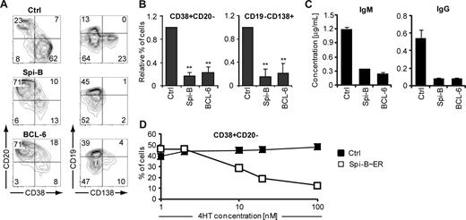 Figure 2. Impaired human B-cell differentiation into Ig-secreting plasma cells by ectopic expression of Spi-B. CD19+ B cells isolated from peripheral blood were transduced with Spi-B, BCL-6, Spi-B∼ER, or control vectors and cultured in conditions promoting plasma cell differentiation (as in Figure 1). (A,B) After 7 days of culture, GFP+ cells were analyzed for CD19, CD20, CD38, and CD138 surface expression by flow cytometry. (A) Contour plots of one representative experiment of 10 are shown. Numbers in the quadrants indicate percentages of cells. (B) Percentages of CD38+CD20− and CD19−CD138+ cells in Spi-B– and BLC-6–transduced cultures were normalized to control cultures. Mean plus or minus SD values of 10 independent experiments are shown (Student t test, ** P < .01). (C) Five days after transduction, GFP+ cells were sorted, and equal numbers of cells (50 000) were cultured with IL-2 and IL-21 for an additional 48 hours. The supernatants were collected, and IgM and IgG protein levels were analyzed by ELISA. Mean plus or minus SD values of ELISA triplicates are shown. One representative experiment of 3 is displayed. (D) After 7 days of culture, the percentages of CD38+CD20− cells within the GFP+ population in Spi-B∼ER and control transduced cultures supplemented with the indicated concentrations of 4HT were assessed. One representative experiment of 2 is shown.