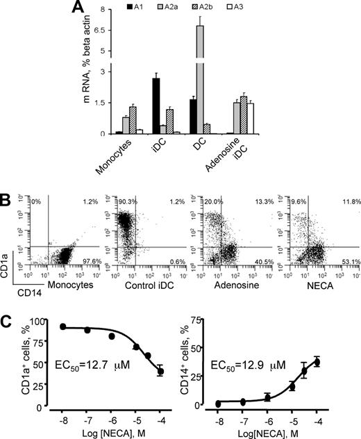 Figure 1. Expression of adenosine receptors on human monocytes, immature, mature, and adenosine-differentiated DCs and the effect of adenosine on DC differentiation. (A) CD14+ monocytes were purified from peripheral blood; immature DCs (iDCs) were generated from monocytes cultured in the presence of GM-CSF and IL-4 for 5 days without (Control iDC) or with NECA (Adenosine iDC); for maturation 1 μg/mL LPS was added to immature DCs for 2 additional days (DC). Expression of adenosine receptor mRNA transcripts was assessed by real-time PCR as described in “Methods.” Average values from 4 different experiments are shown. Error bars denote SE. (B) Addition of adenosine or its stable analog NECA skews DC differentiation from monocytes toward a CD1alowCD14+ cell population. Monocytes were differentiated into immature DCs as above in the absence (Control iDC) or in the presence of 100 μM adenosine plus 10 μM EHNA (Adenosine iDC) or 100 μM NECA (NECA iDC). Combination of adenosine and the adenosine deaminase inhibitor EHNA was used to decelerate adenosine catabolism in cell culture. Expression of CD1a+ and CD14+ markers was assessed by flow cytometry; results are representative of 7 experiments. (C) Concentration-dependence curves of the generation of CD1a+ and CD1alowCD14+ cells in the presence of NECA. Concentrations of NECA corresponding to 50% of maximal effects are shown. Average values from 3 different experiments are shown. Error bars denote SE.