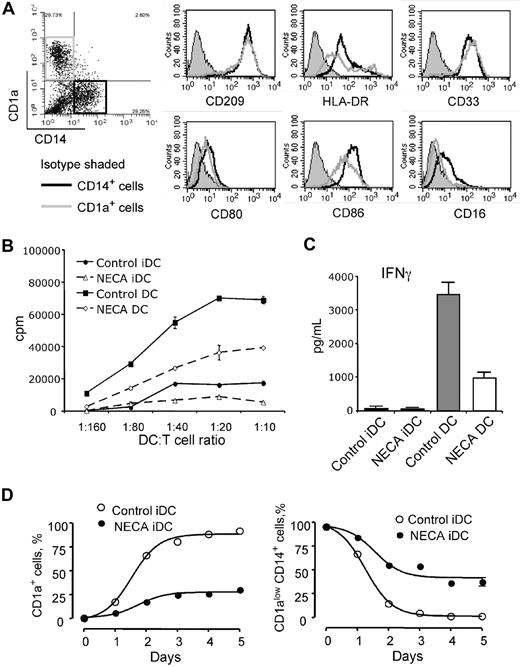 Figure 2. Phenotype and functional activity of human adenosine-differentiated DCs and time course of their differentiation. (A) Immature DCs were generated from human monocytes in the presence of 30 μM NECA to produce about equal proportions of CD1a+ and CD1alowCD14+ cells; these cells were separated by flow sorting into CD1a+CD14− and CD1a−CD14+ cell populations (indicated on a dot plot) and expression of myeloid and DC cell surface markers was assessed by flow cytometry (histograms). Results are representative of 3 experiments. (B,C) Adenosine-differentiated DCs have impaired ability to stimulate proliferation and IFN-γ production by allogeneic T cells. Immature (iDC) and mature (DC) DCs were generated from human monocytes with or without 100 μM NECA and used as stimulators in MLR with allogeneic donor's T cells. MLR was performed as described in the “Methods.” IFN-γ concentrations were measured in MLR supernatants by ELISA. Results are representative of 3 experiments. (C) Average values from 3 different experiments are shown. Error bars denote SE. (D) Time course of generation of CD1a+ and CD1alowCD14+ DCs from human monocytes in the presence of 100 μM NECA. NECA was added to monocytes at day 0, and the proportions of CD1a+ and CD1alowCD14+ DCs were assessed daily by flow cytometry. Average values from 3 different experiments are shown. Error bars denote SE.
