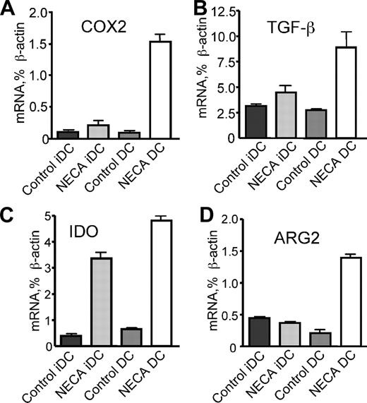 Figure 4. Adenosine-differentiated DCs have up-regulated expression of pro-inflammatory COX-2, tolerogenic TGF-β and IDO, and tumor growth–promoting ARG2. (A-D) Immature or mature DCs were generated from human monocytes without or with 100 μM NECA, and total RNA was purified from cells as described in the “Methods.” Specific mRNA transcripts for indicated proteins were quantified by real-time PCR. Average values from 3 different experiments are shown. Error bars denote SE.