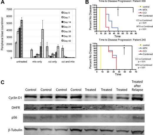 Figure 2. Temsirolimus and methotrexate are synergistic and produce durable remission. NOD/SCID mice were xenografted with human ALL from patient samples. After establishment of ALL, mice were randomized to treatment with vehicle, temsirolimus (CCI), methotrexate, or a combination of temsirolimus and methotrexate. Temsirolimus was dosed with 2 schedules, 5 mg/kg 5 days a week and 20 mg/kg weekly. Disease was evaluated at weekly intervals by FACS of peripheral blood for anti–human CD19 and anti–human CD45. (A) Comparison of arms from xenografts generated from sample 359 showing weekly changes in blast count (WBC in mm3 × % blasts). As similar results were found for both dosing schedules only the 20 mg/kg weekly dosing is depicted in panel A. Each series of vertical bars represents average blast count in animals for a particular treated arm at a given timepoint. Control animals died after 3 weeks. Mice treated with temsirolimus or methotrexate alone had improvement in disease but eventual progression. Mice treated with both drugs had complete resolution of peripheral blasts by day 21. After 49 days (depicted by black arrow in panel B) all drugs were stopped. One-half of the mice were killed and no mouse receiving combination therapy had measurable disease. The remaining mice were followed for 2 months and killed. (B) Time to progression on different arms by Kaplan-Meier analysis from sample 359 (top) and 240 (bottom). (C) Immunoblots of splenocytes from sample 240 mice treated with temsirolimus (“Treated”) or vehicle control (“Control”) for various lengths of time, showing decreased cyclin D1 (top row), DHFR (second row), and phospho-S6 (pS6; third row), comparing treated to control animals. In addition, mice that were treated with temsirolimus until relapse (“Treated after Relapse”) had increased expression of cyclin D1 after relapse. 240 samples depicted in panel C from left to right: control 7 days, control 14 days, control 21 days, control 30 days, treated 7 days, treated 14 days, treated 21 days, and treated 30 days.