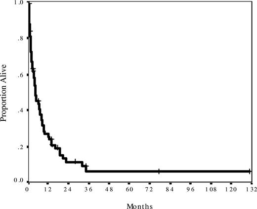 Figure 1. Survival for 74 patients from the date of blast phase diagnosis. Median survival was 5 months and actuarial 1-year survival was 27%. Median follow-up was 14 months.
