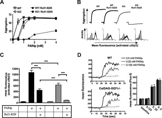 Figure 1. CalDAG-GEFI and PKC synergize in αIIbβ3 activation in platelets activated through the PAR4 receptor. (A) Dose response for PAR4p-induced aggregation of wild-type (WT) and CalDAG-GEFI–deficient (KO) platelets. The data shown represent the percentage aggregation measured 5 minutes after addition of the agonist; n = 6 (P values given in “Results”). (B) WT or CalDAG-GEFI–deficient platelets were stimulated with 1.25 mM PAR4p in the presence or absence of the broad-range PKC inhibitor Ro31-8220 (5 μg/mL). (Top panel) Representative aggregation traces. (Bottom panel) Representative histograms for the activation of integrin αIIbβ3 as measured by flow cytometry. Gray curve represents untreated; black curve, treated with PAR4p. The results are representative of 5 individual experiments. (C) WT () or CalDAG-GEFI–deficient () platelets were stimulated with 1.25 mM of PAR4p in the presence or absence of the broad-range PKC inhibitor Ro31–8220. Binding of JON/A-PE was measured to determine the level of αIIbβ3 activation by flow cytometry; n = 6 (***P < .001). (D) Calcium flux was measured over time in Fluo-3–loaded WT or CalDAG-GEFI–deficient platelets stimulated with the indicated concentrations of PAR4p. The bar graph shows the maximum fluorescence intensity (Fluo-3) measured in WT () and CalDAG-GEFI–deficient () platelets within 1 minute after addition of PAR4p; n = 6. No significant difference in Fluo-3 fluorescence signals between WT and KO platelets was observed.
