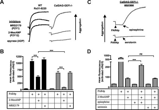 Figure 2. PAR4p-induced activation of αIIbβ3 in CalDAG-GEFI–deficient platelets requires signaling by PKC and Gαi-coupled receptors. (A) WT platelets pretreated with 5 μg/mL Ro31-8220 or CalDAG-GEFI–deficient (CalDAG-GEFI−/−) platelets were activated with 1.25 mM of PAR4p in the presence of (1) the P2Y1 inhibitor MRS2179 (100 μM), (2) the P2Y12 inhibitor 2-MesAMP (50 μM), or (3) the ADP degrading enzyme apyrase (8 U/mL). Aggregation of platelets was recorded for 10 minutes. (B) WT () or CalDAG-GEFI–deficient () platelets were stimulated with 1.25 mM of PAR4p in the presence or absence of 2-MesAMP or MRS2179. Binding of JON/A-PE was measured to determine the level of αIIbβ3 activation by flow cytometry; n = 6 (***P < .001). (C) CalDAG-GEFI–deficient platelets pretreated with apyrase (8 U/mL) were activated with 1.25 mM of PAR4p, followed by 10 μM of epinephrine or 10 μM of serotonin. Platelet aggregation was recorded for 10 minutes. (D) CalDAG-GEFI–deficient platelets were preincubated with 2-MesAMP, followed by stimulation with 1.25 mM of PAR4p in combination with epinephrine or serotonin. Binding of JON/A-PE was measured to determine the level of αIIbβ3 activation by flow cytometry; n = 6 (***P < .001; ns indicates not significant).