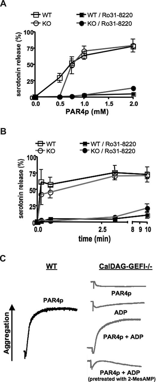Figure 3. Impaired dense granule release from CalDAG-GEFI–deficient platelets stimulated with low-dose PAR4p. (A) 14C-serotonin-loaded WT or CalDAG-GEFI–deficient (KO) platelets were activated with various concentrations of PAR4p in the presence or absence of Ro31-8220 (5 μg/mL) under stirring conditions. Activation was terminated 10 minutes after addition of the agonist, and 14C-serotonin levels in the supernatant (SN) of activated platelets were determined. 0% indicates 14C-serotonin in SN of resting platelets; 100%, 14C-serotonin levels in platelet samples after lysis; n = 6. (B) Time course of PAR4p-induced serotonin release. The activation process was terminated at the indicated time points after addition of 1.25 mM of PAR4p; n = 6. (C) WT (black line) or CalDAG-GEFI–deficient (gray lines) platelets were activated with 0.5 mM of PAR4p and/or 5 μM of ADP in the presence or absence of 2-MesAMP (50 μM). Results are representative of 4 experiments.