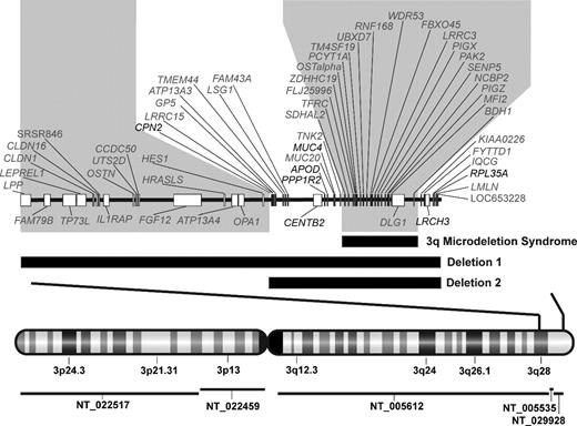 Figure 2. Chromosome 3q deletion mapping in 2 DBA probands. Genomic map of chromosome 3q deletions with combined deletion mapping and RNA expression microarray identifies 3q candidate genes for DBA. Vertical bars through the chromosome 3 map with G-banding pattern indicate the deleted region, which is enlarged above. Contig coverage is shown by horizontal lines below the chromosome ideogram. Black horizontal bars indicate the position of each deletion in relation to known genes on chromosome 3q28-ter. The larger deletion begins in intron 7 of LPP and spans approximately 10 megabases, including 3 contigs (NT_005612, NT_005535, NT_029928) with 2 gaps totaling an estimated 47 kb (NCBI Build 36.1). The smaller deletion begins in the intergenic region between HES1 and CPN2 and spans over 4 megabases. The position of a previously described 3q microdeletion syndrome, which was not associated with DBA or hematologic abnormalities, is also indicated.24 Regions of 3q which were either not involved in both DBA deletions or include the 3q microdeletion syndrome region (shaded gray) were considered improbable for candidate genes. Seven genes (noted in black), which lie in the intervals defined by these deletions, also demonstrated haploinsufficient expression in deletion 1 EBV LCL. RPL35A, a gene encoding a structural component of the large ribosomal subunit, is located within the extreme terminal region of the chromosome 3q deletions.