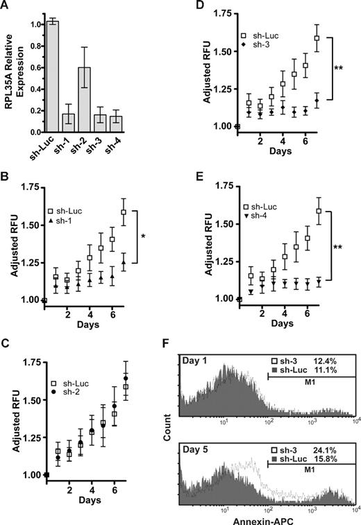 Figure 4. shRNA directed against RPL35A mRNA causes decreased proliferation and apoptosis. (A) The efficacy of expression knockdown was assessed by real-time quantitative RT-PCR 4 days after transduction of UT-7/Epo or TF-1 cells with the lentiviral siRNA construct. Bar graph represents expression of RPL35A transcripts after normalization to GAPDH in each of 4 shRNA constructs compared with cells infected with a control shRNA-lentiviral construct targeting firefly luciferase. Bars represent the aggregated mean expression level from 5 independent experiments, 3 in TF-1 and 2 in UT-7/Epo. Error bars indicate SD. (B-E) UT-7/epo cell proliferation was assessed by quantitation of fluorescent dye DNA binding. GFP-positive UT-7/epo cells were sorted 3 days after lentiviral infection, subsequently plated (day 0) in 96-well plates in 5 replicates at 103 cells/well, and assayed at the indicated times after sorting. Plating variation was corrected by adjusting the LOG2-transformed intensity at each day by the LOG2-transformed intensity on the initial day of plating. Curves represent the average of 4 platings from 2 independent experiments. Error bars indicate SDs. Differences between shLuc control-infected cells and RPL35A sh-2 were not significant. *sh-1, P < .05, compared with shLuc control cells. **sh-3 and 4, P < .01, compared with shLuc control cells. (F) Apoptosis was quantified by flow cytometric analysis after annexin V staining. GFP-positive UT-7/epo cells were sorted 3 days after infection and returned to culture for 24 hours. Cells were subsequently assessed on day 1 (top panel) and day 5 (bottom panel) after sorting. The histogram plots show cell counts versus annexin V intensity in shLuc (gray shading) and sh-3 (solid line) with apoptotic cells from each group enumerated above the gating threshold (M1). After sorting, no significant increase in annexin V–positive cells was discernable between control and sh-3–infected cells (K-S, P > .1). After adjustment for the proportion of annexin V–positive cells on day 1 (treatment group day 5 − treatment group day 1), RPL35A knockdown by day 5 resulted in a nearly 2.5-fold increase in annexin V–positive cells compared with controls (4.7% vs 11.7%; K-S, P < .001). Of note, a significant shift in the overall intensity of annexin V staining of the entire population of cells was also observed, suggesting that the overall effect on apoptosis was greater. Similar results were observed in sh-1– and sh-4–infected cells (not shown). Sh-Luc indicates Luciferase-control transduced cells; sh-1, -2, -3, and -4, respective RPL35A shRNAs.