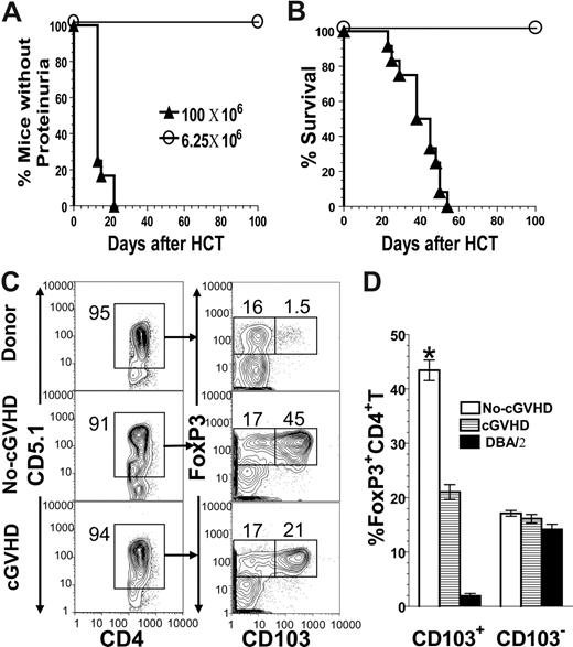 Figure 1. Differential percentage of donor-type CD103+FoxP3+ Treg cells in chimeric recipients with or without chronic GVHD. (A,B) Sublethally irradiated BALB/c recipients were transplanted with 6.25 or 100 × 106 DBA/2 donor spleen cells. The recipients were monitored for proteinuria and survival weekly. There were 12 mice in each group combined from 3 replicate experiments. (C,D) Spleen cells from additional recipients with or without clinical chronic GVHD 20 days after transplantation and control DBA/2 donor mice were stained with anti-CD5.1 (donor T cell marker), CD4, CD103, and FoxP3. A representative staining pattern of 4 recipients and the percentage (mean ± SE) of CD103+FoxP3+ and CD103−FoxP3+ cells among total CD5.1+CD4+ cells are shown.