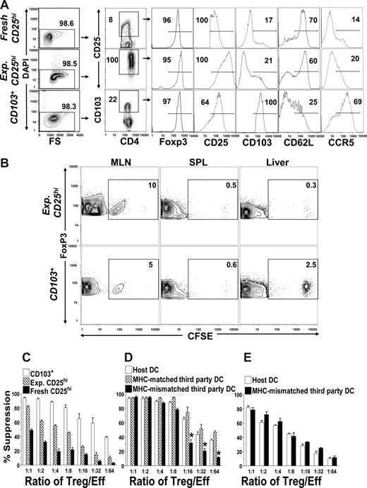 Figure 2. Differential surface receptors, tissue migration, and suppressor function of CD103+ Treg and CD25hi natural Treg cells. Naive CD25hi natural Treg cells were freshly isolated from spleen of DBA/2 donor mice. The in vitro-activated and expanded CD25hi natural Treg cells were from sorted naive CD25hi natural Treg cells after being cultured with anti-CD3/CD28 beads and IL-2 for 7 days. The CD103+ Treg cells were from spleen of day 20 chronic GVHD recipients. (A) The viability as judged by 4,6 diamidino-2-phenylindole (DAPI) staining, the expression levels of FoxP3, CD25, CD103, CD62L, and CCR5 by freshly isolated CD25hiCD4+ T cells, in vitro-activated CD25hiCD4+ T cells, and in vivo–activated CD103+CD4+ T cells. One representative is shown of 4 replicated experiments. (B) CFSE-labeled in vitro–activated CD25hi natural Treg cells and in vivo–activated CD103+ Treg cells (106 each) were injected intravenously into chronic GVHD recipients, respectively. Twelve hours after injection, the percentage of CFSE+FoxP3+ cells among total FoxP3+ cells in the MLN, spleen, and liver was compared. One representative of 4 examined recipients in each group is shown. The means (± SE) of CD25hi natural Treg cells versus CD103+ Treg cells in different tissues are as follows: 10.8% (± 1.2%) versus 4.9% (± 1.3%) in MLN, 0.3% (± 0.2%) versus 0.5% (± 0.3%) in spleen, and 0.4% (± 0.2%) versus 3.5% (± 0.8%) in liver. (C) Suppression of host DC-induced donor CD4+CD25− T proliferation by freshly isolated and in vitro–activated CD25hi natural Treg cells as well as CD103+ Treg cells. (D) CD103+ Treg cell suppression of donor CD4+CD25− T proliferation induced by host, MHC-matched third-party DCs, or MHC-mismatched third-party DCs. (E) In vitro–activated CD25hi natural Treg cell suppression of donor CD4+CD25− T proliferation induced by host or MHC-mismatched third-party DCs. (C-E) Means (± SE) of 4 replicated experiments.