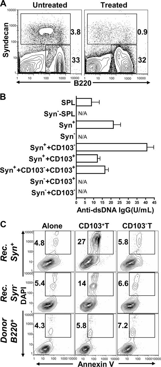 Figure 4. CD103+ Treg cells induced apoptosis of autoantibody-secreting plasma cells. (A) Twenty days after infusion of CD103+ Treg cells, the spleen cells of the untreated and treated recipients were stained for B220 versus syndecan. The percentage of syndecan+ plasma cells and syndecan−B220+ B cells is shown beside the gating box. One representative of 4 examined recipients is shown. The means (± SE) of syndecan+ cells versus syndecan−B220+ cells in the untreated and treated recipients are 4.1% (± 0.4%) versus 1.0% (± 0.2%) and 34.5% (± 4.5%) versus 33.9% (± 3.8%), respectively. (B) Spleen cells (106) of the untreated recipients, including whole spleen (SPL), syndecan+ cell–depleted spleen (Syn−-SPL), sorted syndecan+ cells (Syn+), sorted syndecan−B220+ cells (Syn−), were cocultured with or without sorted CD103+ or CD103−CD4+ T cells (0.2 × 106) from the spleen of chronic GVHD recipients for 5 days. Anti-dsDNA IgG in the culture supernatant was measure by enzyme-linked immunosorbent assay. The mean (±SE) of 4 replicated experiments is shown. N/A indicates an antibody concentration below detectable levels. (C) Sorted activated syndecan+ and syndecan−B220+ B cells from chronic GVHD recipients and B220+ B cells from normal donors were cocultured with CD103+ or CD103−CD4+ T cells from chronic GVHD recipients for 8 hours. Thereafter, the cells were stained for annexin V versus DAPI. The percentage of annexin V+DAPI+ cells among Syn+ or sydecan−B220+ cells is shown beside the gating box. One representative of 4 replicated experiments is shown. The means (± SE) of the percentage of annexin V+DAPI+ cells among recipient syndecan+ cells are 5.4% (± 1.3%), 28.6% (± 3.6%), and 6.1% (± 1.7%), respectively, when cocultured alone or cocultured with CD103+ or CD103−CD4+ T cells. Similarly, the means (± SE) percentage among recipient syndecan−B220+ cells are 6.5% (± 1.9%), 15.4% (± 2.5%), and 6.8% (± 1.3%), and the mean (± SE) percentage among donor B220+ B cells are 5.5% (± 1.3%), 6.3% (± 1.5%), and 7.7% (± 1.4%).