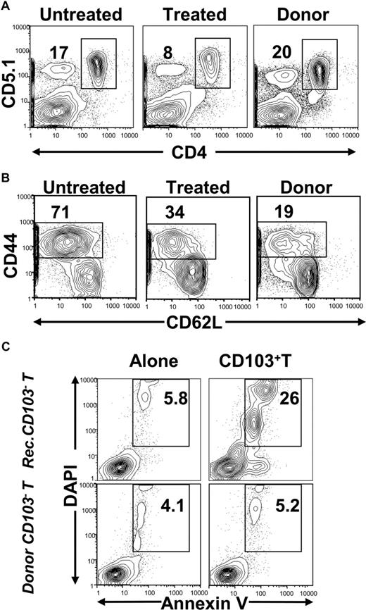 Figure 5. CD103+ Treg cells induced apoptosis of activated CD4+ T cells from chronic GVHD recipients. (A) Twenty days after infusion of CD103+ Treg cells, the spleen cells of the untreated and treated recipients as well as control donor DBA/2 mice were stained for CD5.1 versus CD4. The CD5.1+CD4+ donor-type T cells were gated. One representative of 4 recipients is shown. The mean (± SE) of the percentage of CD5.1+CD4+ T cells among spleen mononuclear cells of untreated and treated recipients are 16.8% (± 3.6%) and 8.5% (± 1.6%), respectively. (B) Gated FoxP3−CD4+ T cells were shown in CD44 versus CD62L. The activated CD44hiCD62LloCD4+ T cells were gated, and the percentage of the cells among total FoxP3−CD4+ T cells was shown above the gated box. One representative of 4 recipients is shown. The means (± SE) of the percentage of CD44hiCD62LloCD4+ T cells among total FoxP3−CD4+ T cells of untreated and treated recipients are 71.0% (± 4.7%) and 38.5% (± 6.7%), respectively. (C) CD103−CD4+ T cells from chronic GVHD recipients or normal DBA/2 donors (106 each) were cocultured with CD103+ Treg cells from chronic GVHD recipients for 8 hours. Thereafter, the cells were stained for annexin V versus DAPI. The percentage of annexin V+DAPI+ cells among CD103−CD4+ T cells is shown beside the gating box. One representative of 4 experiments is shown. The means (± SE) of annexin V+DAPI+ cell among CD103−CD4+ T cells from chronic GVHD recipients with or without CD103+ Treg cells in coculture are 25.3% (± 3.3%) versus 4.9% (± 1.4%). The means (± SE) of annexin V+DAPI+ cells among donor CD103−CD4+ T cells with or without CD103+ Treg cells in coculture are 4.7% (± 1.1%) versus 4.2% (± 0.8%).