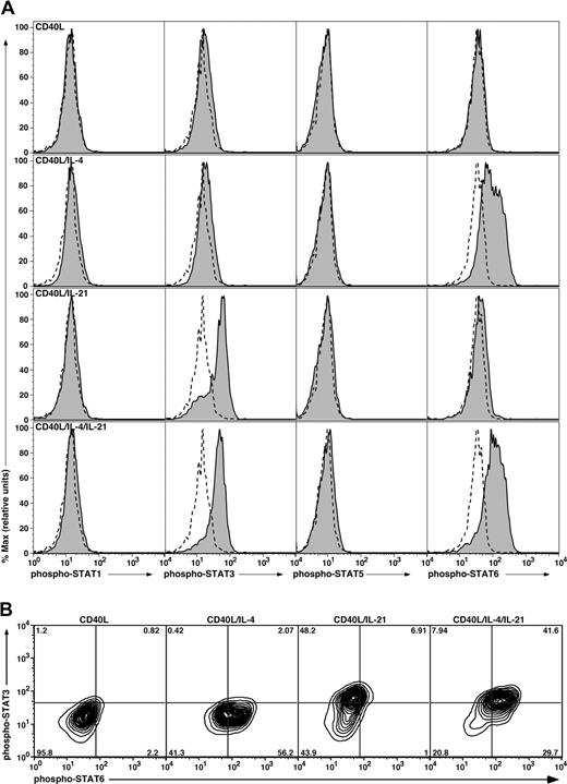 Figure 3. Induction of phosphorylation of STAT proteins in stimulated CB B cells. (A) CB B cells were cultured in the absence or presence of CD40L with or without IL-4, IL-21, or both cytokines. After 16 hours, the cells were harvested, fixed, and permeabilized, and expression of phospho-STAT1, 3, 5, and 6 determined by immunofluorescence and flow cytometry. Solid histograms represent expression of phosphorylated STAT1, 3, 5, or 6 in the presence of the indicated stimulus; the dashed outline histograms represents expression of phosphorylated STATs in cells cultured in the absence of any exogenous stimulus. (B) Coexpression of STAT3 and STAT6 was determined for CB B cells stimulated with CD40L alone or together with IL-4, IL-21, or IL-4 and IL-21. The values represent the percentage of cells in each quadrant of the contour plot.