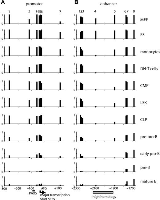 Figure 5. CpG methylation assay at the promoter and enhancer of Cd19 in cells at various differentiation stages. The level of CpG methylation was measured by bisulfite sequencing using genomic DNA derived from MEF, ES cells, monocytes (ER-MP20+ bone marrow cells), CD4−/CD8− (DN) T cells, progenitors (CMP, LSK, CLP), pre-pro-B, early pro-B, pre-B, and mature B cells. The purification profile can be found in Figure S3. The assay was performed on 7 CpGs at the promoter (−300 to + 120) (A) and 8 at the enhancer (−2300 to −1650) (B). The numbers at the top of the panels represent the CpGs found at the promoter (1-7) or the enhancer (1-8) (the exact positions are indicated on the sequence in Figure S4). The numbers at the bottom represent base pairs relative to ATG. The PAX5 binding site is indicated as a horizontal bar. Major transcription start sites () were determined by RT-TDPCR (data not shown). A highly homologous region at the enhancer is indicated by .