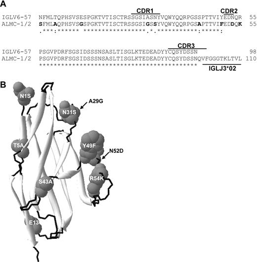 Figure 1. ALMC λLC variable region amino acid sequence. (A) The amino acid sequence of the ALMC-1, ALMC-2, and primary patient PCs before and after PBSCT (designated ALMC-1/2) λLC variable region is shown relative to the germ line IGLV6-57 gene. (B) Model of the ALMC λLC variable region showing the location of each mutation based on the crystal structure of the lambda 6 IGLV protein Wil. The putative structural locations of each amino acid mutation are indicated, β sheets are shown in light gray, and loops are shown in black.