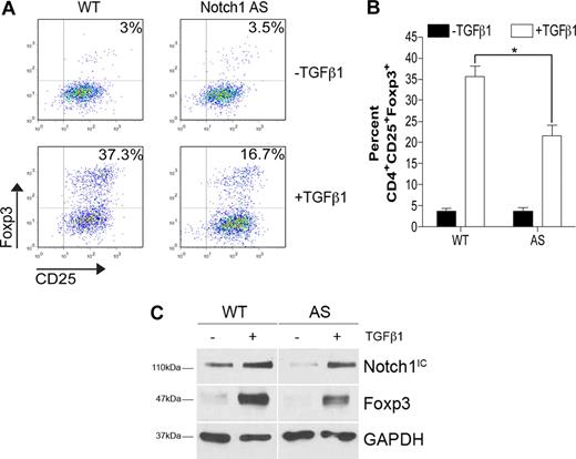 Figure 2. Impaired Foxp3 induction in cells expressing reduced levels of Notch1. CD4+CD25− splenocytes from either wild-type (WT) or Notch1 antisense (AS) mice were stimulated with plate-bound αCD3ϵ plus αCD28 for 72 hours in the presence or absence of 2 ng/mL TGFβ1. (A) Cells were analyzed by flow cytometry using antibodies specific for CD4, CD25, and Foxp3. All plots are gated on live CD4+ cells. Plots are representative of 3 independent experiments. (B) Graphic representation of flow cytometry data from panel A. Data represented as the mean (± SD) of 3 samples per group. *P < .05. (C) Immunoblot detection of Foxp3, Notch1 intracellular domain (Notch1IC), and GAPDH (loading control) from whole-cell lysates prepared from cells stimulated under the same conditions as in panel A. Data are representative of 2 independent experiments.