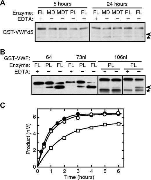 Figure 4. Cleavage of N-terminal deletion and elongation substrates. (A) GST-VWFd5 (65 nM) was incubated at 37°C for the indicated time with 2 nM recombinant full-length ADAMTS13 (FL), truncated constructs MD or MDT, or 0.3 nM plasma ADAMTS13 (PL). No cleavage product () was detected by gel electrophoresis and Western blotting with anti-GST antibody. (B) GST-VWF64, GST-VWF73nl, and GST-VWF106nl (65 nM) were incubated for 2 hours with 2 nM recombinant ADAMTS13 (FL), or for 6 hours with 0.3 nM plasma ADAMTS13 (PL). Substrates and cleavage products () were detected by gel electrophoresis and Western blotting with anti-GST antibody. Asterisks (*) indicates nonspecific bands observed reproducibly for GST-VWFd5 and GST-VWF106nl. Results are representative of 3 independent experiments. (C) Time course for cleavage of 6.8 nM GST-VWF64 (○), GST-VWF73nl (●), and GST-VWF106nl (□) by 1 nM ADAMTS13 at 37°C. Cleavage products were quantitated by an ELISA method. Data points represent the mean values for 2 independent experiments; the range was 2% to 9% of the mean.