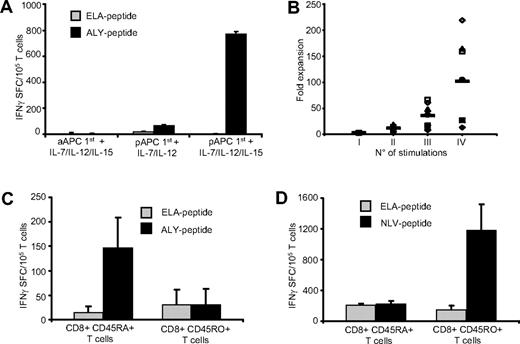 Figure 2. PRAME CTLs derive from the naive T-cell subset. To generate PRAME CTLs from healthy donors, CD8+ T cells were stimulated weekly with peptide-loaded K562/aAPCs in the presence of IL-7, IL-12, and IL-15, or primed with peptide-loaded autologous pAPCs in the presence of IL-7 and IL-12 with or without IL-15, then expanded with peptide-loaded K562/aAPCs. (A) Frequency of T cells responding (in an IFNγ ELIspot assay) to PRAME peptides; shown is ALY as representative peptide, ■) or an irrelevant peptide (ELA, ). The number of IFNγ+ SFC was negligible when T cells were stimulated weekly only with peptide loaded K562/aAPCs. Although IFNγ+ SFC were detectable when T cells were primed with peptide-loaded pAPCs, only the addition of IL-15 to the cytokine cocktail significantly increased the generation of ALY-specific CTLs. Shown is 1 representative of 4 donors. (B) Fold expansion of PRAME CTLs primed with autologous pAPCs and stimulated with aAPCs for 3 weeks. Each symbol represents one of the 8 individual PRAME CTL lines and the horizontal lines represent the mean group value. (C) IFNγ+ SFC in response to ALY-peptide (■) or ELA-irrelevant peptide () of ALY-specific CTLs expanded from 3 donors from sorted naive (CD45RA+) and memory (CD45RO+) T-cell subsets. T cells producing IFNγ in response to the ALY peptide were significantly higher in CTL lines that originated from the naive (CD45RA+) T-cell subset. In contrast, CTLs generated against the viral peptide NVL (from the pp65 protein of CMV), were originated predominantly from the memory (CD45RO+) T-cell subset (D).