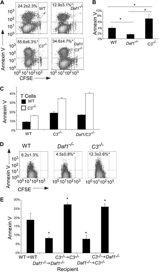 Figure 2. APC-expressed C3 and DAF influence T-cell apoptosis after antigen stimulation. (A) Flow cytometry plots showing annexin V staining of CFSE-labeled Mar T cells on day 3 after stimulation with WT, Daf1−/−, C3−/−, or Daf1/C3−/− macrophages plus HYDby peptide. Percentages of annexin V+ cells are given in the upper left. Data are representative of 4 individual experiments. *P < .05 versus WT APCs. Similar results were found when TUNEL staining was used as a readout (Figure S2). (B) Percentage of annexin V+ polyclonal H-2b T cells on day 4 of in vitro culture with allogeneic H-2d WT, Daf1−/−, or C3−/− macrophages. Values are means plus or minus SD of 3 individual experiments. *P < .05. (C) CFSE-labeled WT or C3−/− H-2d T cells were stimulated in vitro with WT, C3−/−, or Daf1/C3−/− allogeneic H-2b macrophages for 4 days and stained with annexin V. Values are means plus or minus SD of 3 individual experiments. *P < .05 versus WT T cells. (D) Flow cytometry plots depicting annexin V+ Mar T cells in the spleens of recipient mice on day 3 after adoptive transfer (10 × 106 Mar T cells per mouse) into groups of male WT, Daf1−/−, or C3−/− recipients (n = 3 per group). *P < .05 versus WT APCs. (E) Groups of male bone marrow chimeric mice (n = 3) were injected with 5 × 106 CFSE-labeled Mar T cells and Vβ6+ splenic Mar cells were assayed for apoptosis by annexin V staining on day 3. *P < .05 versus WT→WT controls.