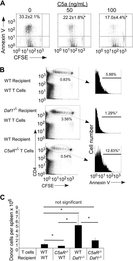 Figure 3. C5a binding to T cell–expressed C5aR regulates T-cell apoptosis and expansion. (A) Representative flow plots of annexin V+ Mar T cells after in vitro stimulation with H-2b bone marrow dendritic cells plus HYDby peptide+ recombinant mouse C5a. The experiment was repeated with similar results. Numbers in upper left quadrant represent percentage annexin V+ (n = 3 per group). *P < .05 versus no C5a control. (B) Left: Flow plots of polyclonal H-2b WT or C5aR−/− CD4 T cells (CFSE dilution) after injection into (B6xBalb/c) F1 WT or Daf1−/− recipients (day 3, n = 2 or 3/group). The percentages of injected cells per recipient spleen on day 3 are shown. Right: Annexin V expression on the injected cells within the gate. *P < .05 versus WT control. (C) Polyclonal H-2b WT or C5aR−/− CD4 T cells were injected into (B6xBalb/c) F1 WT or Daf1−/− recipients. Total numbers of donor T cells in recipient spleens were determined on day 4 after injection. Data are representative of 2 experiments. *P < .05.