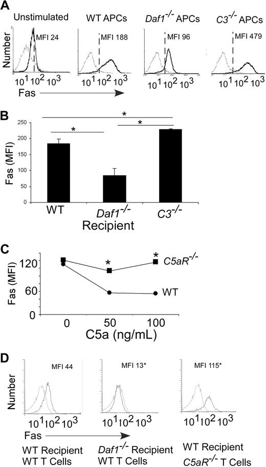 Figure 5. Local complement activation regulates T-cell Fas expression after antigen stimulation. (A) Flow cytometric plots of Fas expression on CFSE-labeled Mar T cells stimulated in vitro (3 days) with WT, Daf1−/−, or C3−/− macrophages plus HYDby peptide (MFI, isotype control-, anti-Fas-). Results are means of triplicate wells. Data are representative of 4 individual experiments. (B) Fas expression on Mar T cells in spleens (gated on Mar TCR Vβ6+ cells) of recipient male WT, Daf1−/−, or C3−/− mice 3 days after adoptive transfer (10 × 106 cells/mouse). Results are depicted as means plus or minus SD of n = 3 or 4 per group. (C) Mean fluorescent intensities of anti-CD3/CD28–stimulated WT or C5aR−/− T-cell surface Fas levels on addition of recombinant C5a after 72 hours. *P < .05 versus WT. Fas levels (MFI) on unstimulated WT was 25 and on C5aR−/− T cells was 28 (not shown). (D) Flow plots of polyclonal H-2b WT or C5aR−/− CD4 T cells after injection into B6xBalb/c F1 WT or Daf1−/− recipients (day 3) depicting surface Fas MFI. The experiment was repeated twice with similar results. *P < .05 versus WT.