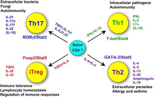 Figure 1. Summary of the 4 CD4 T helper cell fates: their functions, their unique products, their characteristic transcription factors, and cytokines critical for their fate determination.