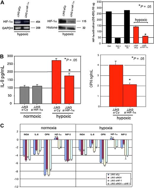 Figure 4. Effect of HIF-1alpha suppression on ING4 and the angiogenic-related molecules in hypoxic condition. JJN3 was transfected by electroporation with 1 nmol smart pool double-stranded RNA oligonucleotides (siRNA) against HIF-1alpha or with a nonspecific control siRNA (Cy). After 24 hours, cells were incubated in the presence or absence of hypoxic condition (1% O2, 5% CO2 atmosphere or CoCl2 treatment) for 12 hours. HIF-1alpha mRNA expression was evaluated by RT-PCR, whereas HIF-1alpha protein level and activity were detected by Western blot and ELISA, respectively, as described in “Western blot analysis” and “ELISAs.” Graphs represent the means plus or minus SD of 2 independent experiments measured in triplicate (OD = optical density). Nuclear extracts of COS-7 treated with CoCl2 in the presence or absence of wild-type (wt) or mutated (mt) competitor oligonucleotides were tested as control (Con) (A). Aliquots of conditioned media of JJN3 transfected cells were tested by ELISA to detect IL-8 and OPN levels. Graphs represent the means plus or minus SD of IL-8 or OPN levels in 2 independent experiments measured in triplicate (B). JJN3 was transfected by electroporation with 1 nmol smart pool double-stranded RNA oligonucleotides (siRNA) against HIF-1alpha or ING4 or HIF-1alpha plus ING4 or with a nonspecific control siRNA (Cy) and incubated after 24 hours in the presence or absence of hypoxic condition. Thereafter ING4, IL-8, OPN, HIF-1alpha, and NIP-3 mRNA expression was quantified by realtime PCR. Data are expressed as mean −deltaCt's plus or minus SD as described in “Real-time quantitative PCR” (C).