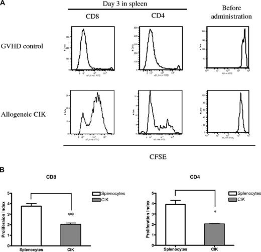Figure 4. Cell division rate of CIK cells in vivo compared with naive splenocytes. Lethally irradiated Balb/c recipient mice were injected with 5 × 106 C57BL/6 (H-2b, Thy1.2) wild-type BM cells with either CFSE-labeled 10 × 106 CIK cells or splenocytes generated from congenic C57BL/6 (H-2b, Thy1.1). (A) On day 3, the cell division rate from splenocytes (top row) and CIK cells (bottom row) in the spleen was analyzed by a CFSE-based cell proliferation assay. Similar results were obtained in 3 allogeneic and 3 syngeneic receipient mice. (B) Proliferation index of CD4 and CD8 T cells of splenocytes and CIK cells. Error bars represent SD. *P < .05; **P < .01.