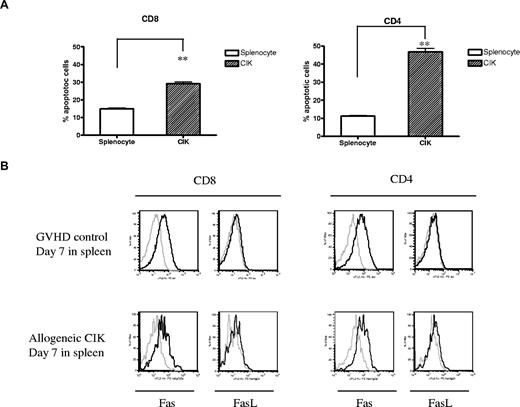 Figure 5. Rate of apoptosis of transferred T cells. Lethally irradiated host mice (Balb/c, H-2d) were injected with 5 × 106 C57BL/6 (H-2b, Thy1.2) wild-type BM cells with either 10 × 106 CIK cells generated from congeneic C57BL/6 (H-2b, Thy1.1) or 10 × 106 splenocytes. (A) Early apoptotic cells from CIK cells (n = 3) and GVHD effector cells (n = 3) from the spleen were analyzed on day 7 after BMT separately in CD8+ and CD4+ lymphocytes by FACS using annexin V and PI staining. Error bars represent SD. **P < .01. (B) Comparison of Fas and FasL expression between GVHD controls and CIK cell–receiving mice on day 7 after BMT. One representative result of 3 similar experiments is shown.
