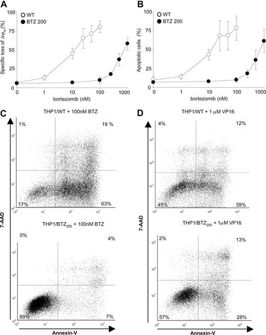 Figure 2. Differential induction of apoptosis by bor-tezomib and VP16 in bortezomib-resistant cells. (A) Loss of mitochondrial membrane potential (Δψm) after 24-hour exposure of THP1/WT cells and THP1/BTZ200 cells to a concentration range of bortezomib. (B) Induction of apoptosis (annexin V–positive cells) in THP1/WT cells and THP1/BTZ200 cells after 24-hour exposure to a concentration range of bortezomib. (C) A representative flow cytometric picture of apoptosis induction (annexinV/7-AAD staining) after 24-hour incubation of THP1/WT cells and THP1/BTZ200 cells with 100 nM BTZ. (D) A representative flow cytometric picture of apoptosis induction (annexin-V/7-AAD staining) after 48-hour incubation of THP1/WT cells and THP1/BTZ200 cells with 1 μM VP-16/etoposide. All results present the means (± SD) for 3 independent experiments.