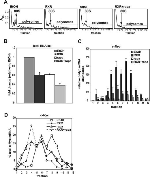 Figure 7. Rapamycin inhibits endogenous c-Myc mRNA translation in MPRO granulocytes. (A) Polysome profiles generated from cell lysates obtained from MPRO cells treated with 48 hours of EtOH (undifferentiated vehicle control), 10−6 M AGN194204 (RXR), 80 nM rapamycin (rapa), or 10−6 M AGN194204 and 80 nM rapamycin (RXR + rapa) normalized by loading equal cell number. (B) Total RNA per cell was measured using a NanoDrop ND-1000 UV-Vis Spectrophotometer. (C) c-MYC mRNA abundance per fraction was determined by qRT-PCR in MPRO cells treated as described in panel A. Values are normalized to c-Myc mRNA abundance in fraction 1 for EtOH-treated cells. Data shown are the mean plus or minus SEM of 3 independent experiments. (D) Distribution of c-Myc mRNA in fractionated lysates was determined by qRT-PCR. Average transcript abundance in each fraction was divided by average net transcript abundance in all fractions and expressed as a percentage of total for the 3 experiments included in panel C.