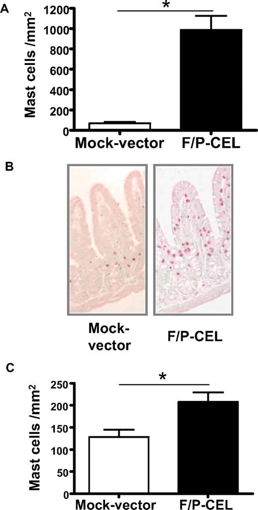 Figure 1. F/P-positive CEL mice have MC infiltration in relevant nonhematopoietic organs. (A) Levels of mast cells in the small intestine. Levels of intestinal mast cells in F/P-positive CEL and CD2-IL-5Tg/mock vector–transduced recipient mice were assessed after development of disease (at 4-5 weeks after transplantation) by morphometric analysis of chloroacetate esterase (CAE)–stained cells. Results are shown as mean (± SEM) from 4 mice per group of one representative experiment (n = 3 experiments). *P < .001. (B) Representative small intestine section from F/P-introduced F/P-positive CEL and control mice with CAE staining (original magnification, ×125), indicating a preferential intraepithelial localization of MCs in F/P-positive CEL mice. Images taken with Leica DMI6000B microscope (Wetzlar, Germany) 10× PH1 acquired with color Leica camera and Open Lab software version 5.50 (Improvision, Waltham, MA). (C) Levels of cutaneous mast cells in F/P-induced, F/P-positive CEL and donor-matched control mice were assessed as in panel A. Results are shown as means (± SEM) from 4 mice per group of one representative experiment. Three independent experiments were conducted with similar results; *P < .05.