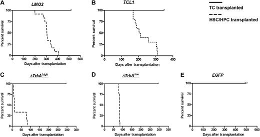Figure 5. Survival of TC- and HSC/HPC-transplanted animals. Animals that received transplants of HSCs/HPCs transduced with the oncogenes LMO2 (A), TCL1 (B), ΔTrkAhigh (C), or ΔTrkAlow (D) developed hematologic malignancies after characteristic latency periods (A-D, ). Control animals that received transplants of MP91-eGFP (E) and recipients of TC transplants survived throughout the observation time (A-E, —) with no indication of leukemia/lymphoma.
