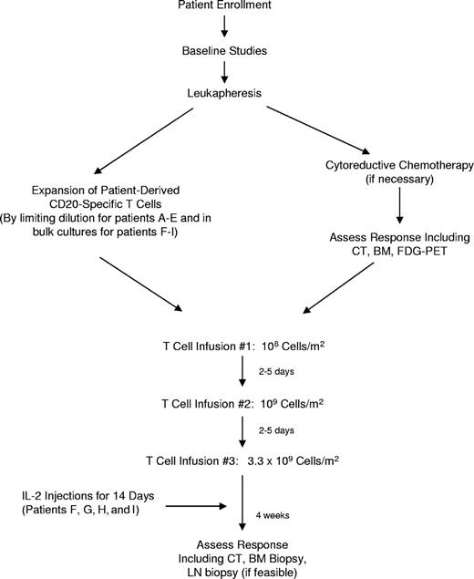 Figure 1. Schema of clinical protocol.