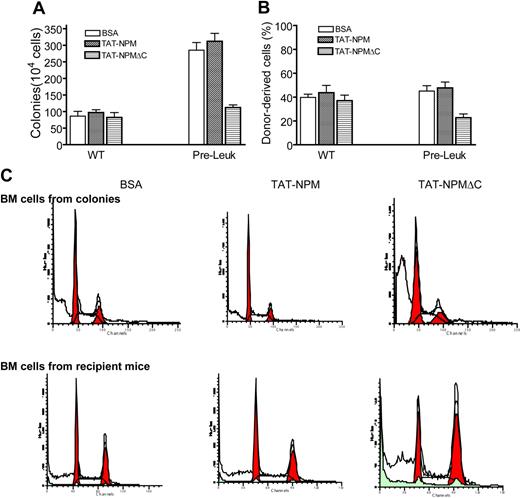 Figure 5. TAT-NPMΔC suppresses proliferation and induces apoptosis in Fancc−/− preleukemic stem cells. (A) Clonogenic assay. WT BM cells or Fancc−/− preleukemic cells cultured in semi-solid medium containing 30 μg/mL of the indicated proteins were analyzed for colony-forming efficiency of hematopoietic progenitors. Data represents the mean plus or minus SD of 3 experiments. (B) Bone marrow transplantation assay. 106 WT BM cells or Fancc−/− preleukemic cells (CD45.2+) were transplanted, along with 106 competitor cells from B6.BoyJ mice (CD45.1+), into lethally irradiated recipient (B6.BoyJ) mice, which after 10 days were injected intraperitonally with the indicated proteins (10 mg/kg in 0.5 mL PBS and 10% glycerol) twice a week for 4 weeks. Engraftment was evaluated at 4 weeks after transplantation. Data represent mean plus or minus SD of 3 independent experiments, each with 6 animals (total, 18 mice). (C) TAT-NPMΔC induces growth arrest and apoptosis in colony-forming and repopulating Fancc−/− cells. Bone marrow cells from colonies described in panel A or bone marrow cells from recipient mice described in panel B were stained with propidium iodide (PI) followed by analysis for cell-cycle distribution. Shown are representative flow cytometric presentations of 3 colony assays or 3 to 4 recipients in each treatment.