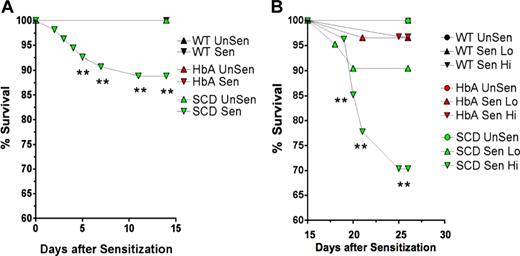 Figure 2. Survival curves. These line graphs show the percentage of survival for WT, HbA, and SCD mice from (A) day 1 of OVA implantation to day 15 prior to exposure to aerosolized OVA and from (B) day 15 to day 23 for UnSen, LoSen, and HiSen WT, HbA, and SCD mice. Total numbers of mice were as follows: On day 1, WT mice (n = 28) were placed in the UnSen protocol or were subjected to OVA implantation (n = 38). On day 15, all of the OVA-implanted WT mice that survived (100%) were divided into the LoSen protocol (n = 14) and the HiSen protocol (n = 24). On day 1, HbA mice (n = 25) were placed in the UnSen protocol or were subjected to OVA implantation (n = 60). On day 15, all of the OVA-implanted HbA mice that survived (n = 60) were divided into the LoSen protocol (n = 29) and the HiSen protocol (n = 31). On day 1, SCD mice (n = 21) were placed in the UnSen protocol or were subjected to OVA implantation (n = 54). On day 15, the surviving OVA-implanted SCD mice (n = 48) were divided into the LoSen protocol (n = 21) and the HiSen protocol (n = 27). Circles and triangles represent mice that died (when less than 100%) and lived (when = 100%) after OVA sensitization (days 1-14) or after OVA aerosolization (days 15-23). ** indicates significant increase in mortality (P < .01).