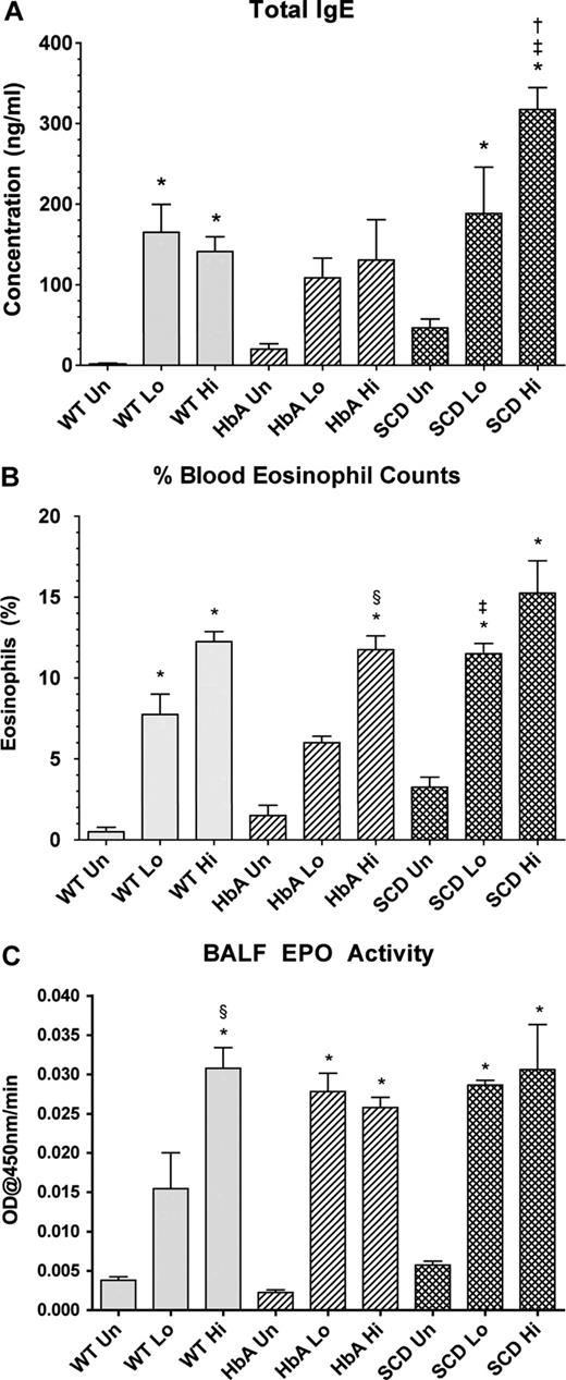 Figure 3. Blood and lung markers of inflammation. (A) Total IgE levels from UnSen (Un), LoSen (Lo) and HiSen (Hi) WT, HbA and SCD mice. (B) Percentage of peripheral blood eosinophil from Un, Lo, and Hi WT, HbA, and SCD mice. (C) BALF EPO activity from UnSen (Un), LoSen (Lo), and HiSen (Hi) WT, HbA, and SCD mice. * indicates significantly different from UnSen group within same strain; §, significantly different from LoSen (Lo) group within same strain; †, significantly different from wild-type (WT) group with same treatment; and ‡, significantly different from the HbA groups with same treatment. (P < .05, adjusted for the number of comparisons.)