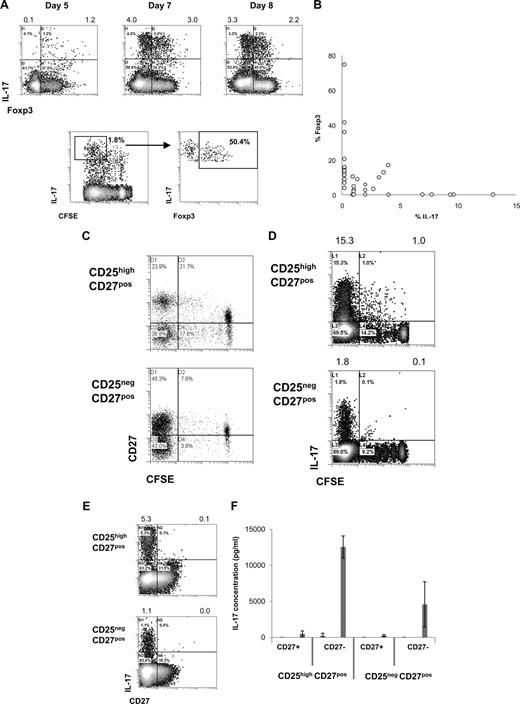 Figure 3. CD25highCD27pos Treg differentiation into CD27neg IL-17–producing cells and pass through into a Foxp3/IL-17 double-positive stage. Flow cytometry of sorted CD4posCD25highCD27posCD45RAneg (CD25highCD27pos) Tregs and CD4posCD25negCD27posCD45RAneg (CD25negCD27pos) Teffs that were stimulated with allogeneic PBMCs in the presence of both rIL-2 and rIL-15 and analyzed for cell division, IL-17 production, and Foxp3 and CD27 expression. To analyze IL-17 production, cells were restimulated with PMA plus ionomycin in the presence of Brefeldin A. (A) Density plots at the top show intracellular expression of IL-17 (y-axis) and Foxp3 (x-axis) at days 5, 7, and 8 after culture of CD25highCD27pos Tregs. Numbers at the top of the plots indicate the percentages of IL-17–producing cells. The lower density plots show CFSE content and costaining of Foxp3 of CFSE-labeled CD25highCD27pos Tregs at day 6 of the culture. (B) Summary plot showing percentage of IL-17– and Foxp3–expressing cells, such as analyzed under panel A, at day 8 of the cultures (data from 12 individual experiments, using 12 different blood donors). (C,D) Sorted CD25highCD27pos Tregs and CD25negCD27pos Teffs were CFSE labeled and subsequently stimulated with allogeneic PBMCs and rIL-2 plus rIL-15. Plots show CFSE content (x-axis) and expression of CD27 (C) or IL-17 (D, y-axis) at day 8 of the culture. (E) Density plots show CD27 (x-axis) expression and intracellular IL-17 expression (y-axis). (F) Cytokine measurements of differentiated CD27pos and CD27neg cells obtained after differentiation of sorted peripheral CD25highCD27pos Tregs and CD25negCD27pos Teffs. CD25highCD27pos Tregs and CD25negCD27pos Teffs were sorted from peripheral blood, labeled with CFSE, and cultured in the presence of allogeneic stimulator PBMCs and rIL-2 plus rIL-15 for 10 days. At day 10, the resultant CD27pos and CD27neg cells in the divided CFSE-low cell population were isolated by cell sorting using flow cytometry. The sorted cell populations (20 × 103) were stimulated for 20 hours with PMA plus ionomycin; thereafter IL-17 concentrations were analyzed in the culture supernatants. Means plus or minus SD are shown for 3 independent experiment performed with cells obtained from different donors. Data are representative of 2 (A) or 3 or more (C-E) separate experiments conducted with cells obtained from different blood donors.