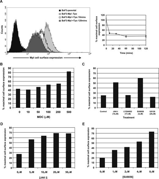 Figure 1. Tpo-mediated internalization of c-Mpl is dependent on clathrin, Jak2 and SFKs. (A) BaF-Mpl cells were stimulated with 50 ng/mL rhTpo for increasing periods of time, and cell-surface expression of c-Mpl was analyzed by flow cytometry. Error bars represent SE. Receptor internalization was determined in the presence of inhibitors to clathrin (B) and a panel of protein kinases (C). (D,E) The effects of JAKI and SU6656 were further determined by concentration response. The percentage of baseline c-Mpl cell-surface expression is determined by comparing Tpo-treated cells with unstimulated cells. All data are representative of at least 3 independent experiments using 2 BaF-Mpl clones.