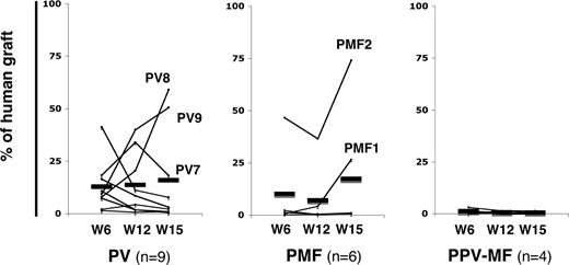 Figure 4. Kinetics of engraftment suggests that leukemic SRCs have not acquired proliferative advantage, except for a subset of patients. Analysis of the kinetics of human cell engraftment by sequential BM aspiration of the right femur (RF) 6, 12, and 15 weeks after transplantation.