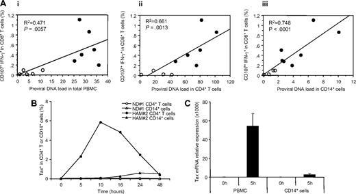 Figure 5. Correlation of spontaneous degranulation and IFN-γ production in CD8+ T cells with proviral DNA loads of HTLV-I–infected patients, and HTLV-I viral expression in cultured cells of HAM/TSP patients. (A) Correlation of spontaneous CD107a and IFN-γ expressions in CD8+ T cells and proviral DNA loads in total PBMCs (i), isolated CD4+ T cells (ii), and isolated CD14+ cells (iii) from HTLV-I–infected patients were determined. The data obtained from 5 ACs (○) and 7 HAM/TSP patients (●) are plotted. (B) Expression of intracellular Tax protein in ND CD4+ T cells (○) and CD14+ cells (△), and CD4+ T cells (●) and CD14+ cells (▲) of a HAM/TSP patient after the culture. (C) Expression of Tax mRNA in total PBMCs and CD14+ cells before and after culture for 5 hours. CD14+ cells were magnetically isolated from the cultured PBMCs. The graph was prepared from data obtained from 3 HAM/TSP patients. Error bars represent SD.