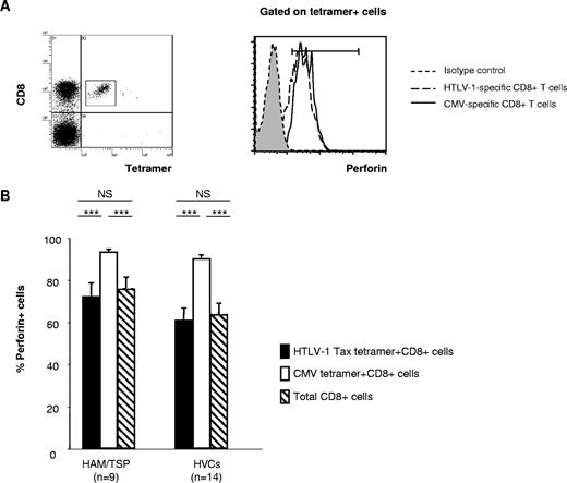 Figure 3. Perforin expression in HTLV-1 Tax– and CMV pp65–specific CD8+ T cells in HTLV-1 infection. (A) Left panel: Dot plots of HLA-A*02/Tax11-19 tetramer-PE (x axis) versus CD8-ECD fluorescence within the lymphocyte gate based on forward versus side scatter. Right panel: Histogram of perforin expression (x axis, arbitrary units, log scale) versus cell number (y axis) in gated virus-specific (tetramer-positive) cells. Representative dot plot from one patient with HAM/TSP is shown. (B) The perforin expression in HTLV-1 Tax– and CMV pp65–specific CD8+ T cells in HTLV-1–infected patients. Statistical analysis was done as described in the legend for Figure 1. ***P < .001