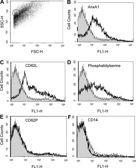 Figure 2. FACS analysis on microparticles derived from adherent PMNs. Flow cytometric analysis of adherent PMN (to HUVEC monolayers)–derived microparticles, with acquisition of 5 to 10 000 events per sample. (A) Dot plot showing the heterogeneity in microparticle sizes; circled dots refer to 1-μm beads run in parallel as internal control. (B-F) Histograms demonstrating detection of AnxA1, L-selectin (CD62L), and phosphatidylserine (using FITC-labeled annexin V) in PMN-derived microparticles, with no signal observed for CD62P and CD14. Isotype control staining (gray histograms) is also shown. Data are representative from 3 or more independent microparticle preparations.