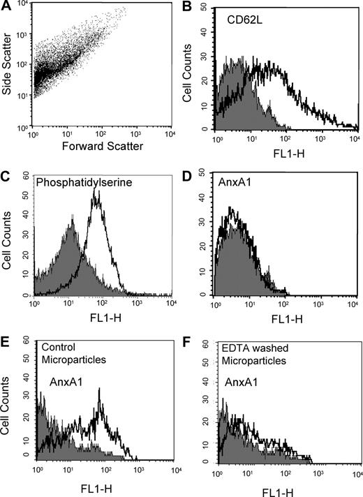 Figure 3. Comparison of annexin 1 expression, and localization, in microparticles derived from resting or adherent PMNs. Flow cytometry of resting PMN (20 minutes at 37°C in suspension)–derived microparticles, with acquisition of 5 to 10 000 events per sample. (A) Dot plot showing the heterogeneity in microparticle sizes. (B-D) Histograms demonstrating detection of L-selectin (CD62L), phosphatidylserine (using FITC-labeled annexin V), but not AnxA1 in microparticles prepared from resting PMNs. (E,F) EDTA wash of microparticles prepared from adherent PMNs markedly reduces AnxA1 immunostaining. Left panel shows histogram of intact microparticles; right panel, histogram of microparticles washed with EDTA. Data are representative from 3 independent microparticle preparations.