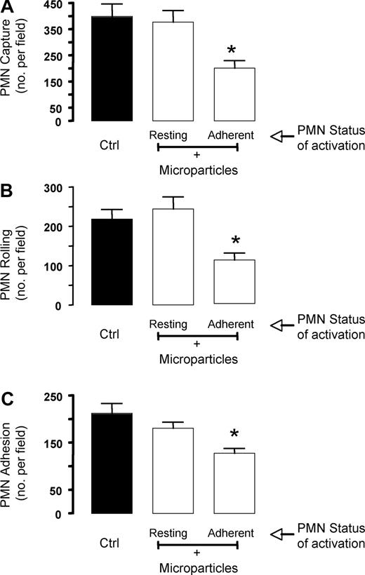 Figure 4. Annexin 1–rich microparticles inhibit PMN/HUVEC interaction under flow. Microparticles (between 30 and 50 × 103) were generated from resting or adherent PMNs and added to fresh PMNs for 8 minutes prior to the flow experiment. PMNs (5 × 106) were then flown for 15 minutes at 1 dyne/cm2, prior to quantifying the degree of PMN interaction with the HUVECs, as (A) PMN capture, (B) PMN rolling, or (C) PMN adhesion. Data are mean plus or minus SEM of from 3 or more independent experiments (with distinct microparticles, PMN, and HUVEC preparations). *P < .05 versus respective control group.
