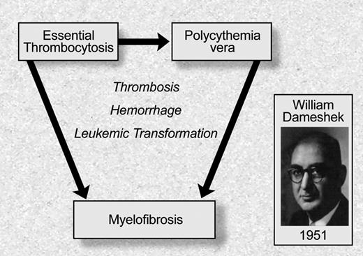 Figure 1. Philadelphia chromosome negative myeloproliferative disorders: classification based on William Dameshek. Illustration by Debra Tyler.