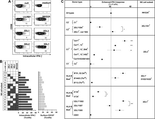 Figure 4. NK subsets display defined levels of enhanced response to “missing-self” that are determined by the combination of KIR and HLA polymorphisms in the donor. (A) NK subsets defined by single inhibitory MHC class I receptors respond differently to 721.221 target cells. For this donor (HLA-C1, Bw4; KIR A1A1), the NK subsets bearing only LILRB1, KIR2DL1, or 3DL2 gave weak responses, such as the receptor-null subset, whereas NK cells bearing NKG2A, KIR2DL3, or 3DL1 gave strong responses. (B) NK subsets, from the same donor, expressing different combinations of KIR3DL1, 2DL3, 2DL1, and NKG2A were analyzed for their cytokine and cytotoxic response to 221 cells. The vertical line gives the response level of the receptor-null subset. (C) How different combinations of HLA class I ligands and NK-cell receptors enhance the missing-self response of NK subsets to 221 cells. In all 58 donors, the enhanced response of NKG2A single-positive cells was constant (dotted vertical line), whereas the effects on KIR single-positive cells varied with donor HLA and KIR genotype. NKG2A, n = 58; 2DL1/S1+ C2−, n = 42; C2+2DL1*004+, n = 4; C2+2DL1*004−, n = 11; 2DL3+ Cw*7+, n = 16; Cw*7−Cw*12+, n = 7; Cw*7−Cw*12−B*46+, n = 4; Cw*7−Cw*12− Cw*1402+, n = 4; Cw*01/03/08/1403+, n = 10; 2DL2/3+ C2/2, n = 5; 3DL1*001/002/15/20+ B*51/52+, n = 13; B4403+, n = 5; B*13+, n = 2; 3DL1+Bw4− A*24+, n = 13; A*24−, n = 9; 3DL1*1502+, n = 22; 3DL1*007+, n = 5; 3DL1*005+, n = 8; 3DS1+, n = 1. *P < .05, ** P < .005, *** P < .001. Comparison of the effect by C1 was significant by ANOVA. P < .05 was considered statistically significant.